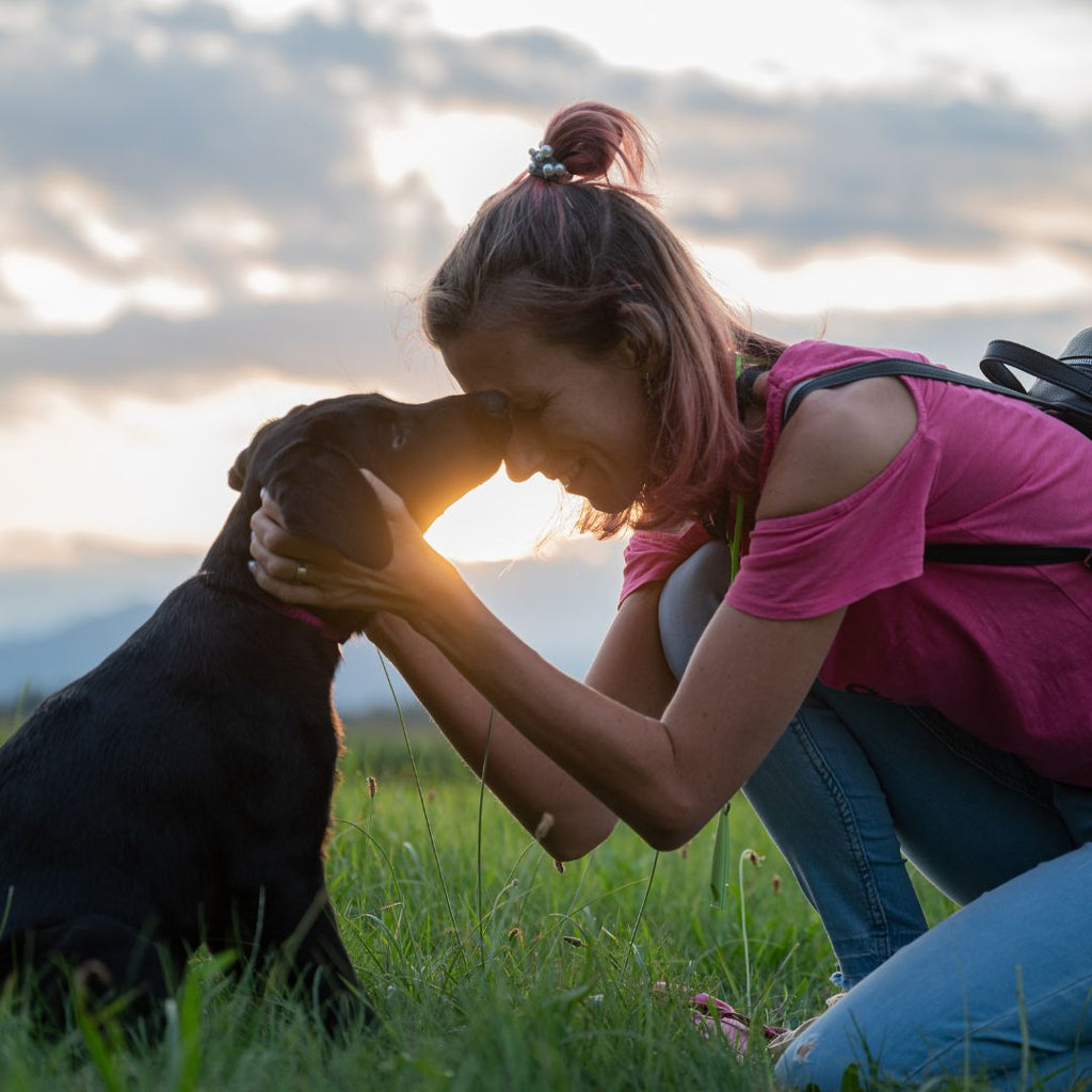 Cherishing Every Moment with Your Pet: Why It's So Vital GROOMY