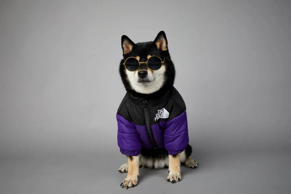 The Dog Fans Winter Dog Jacket Luxury Pet Clothes Warm Thick Stitching Pet Coat Teddy Chihuahua  Vest for Small Medium Dogs GROOMY