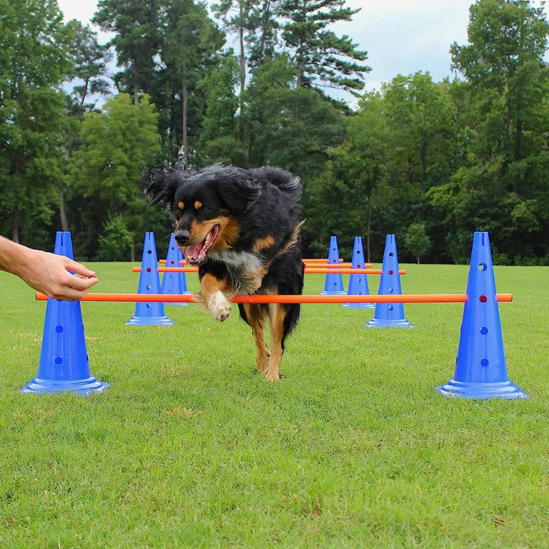 Pet Agility Training Set Jumping Bar Dog Obstacle Training Equipment Hurdle Training Dog Training Device Pet Supplies GROOMY