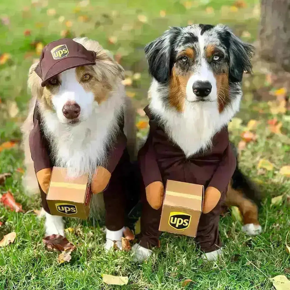 UPS Courrier Costume GROOMY