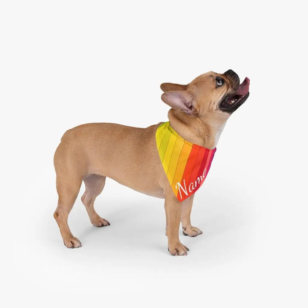 Custom Dog Bandana - Rainbows Patterns GROOMY