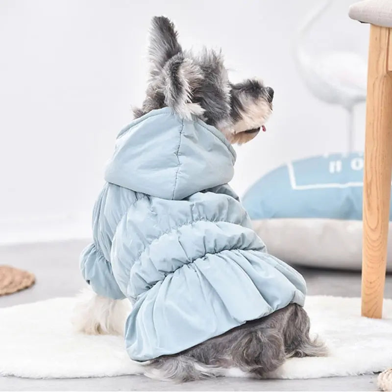 Dog Coat & Jacket in Dress Shape - Dog & Cat Apparel GROOMY