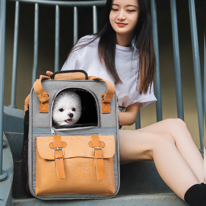 Dog Carrier Backpack - Style C GROOMY