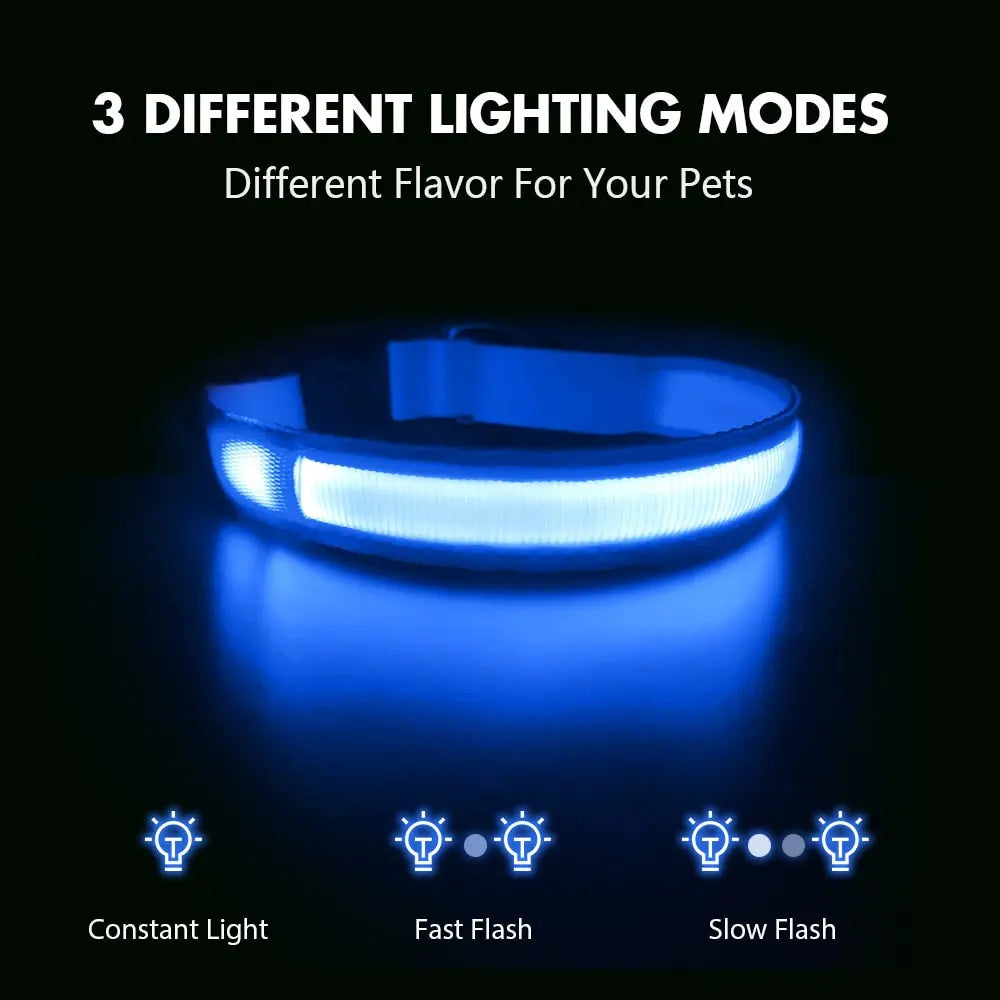 Quick Release Dog Collar - Waterproof & LED Light | GROOMY