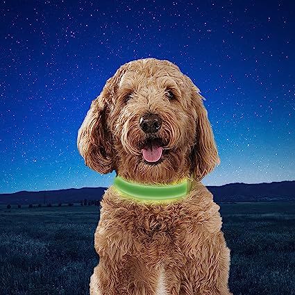 Light Up the Night: The Benefits of Glow-in-the-Dark Dog Collars