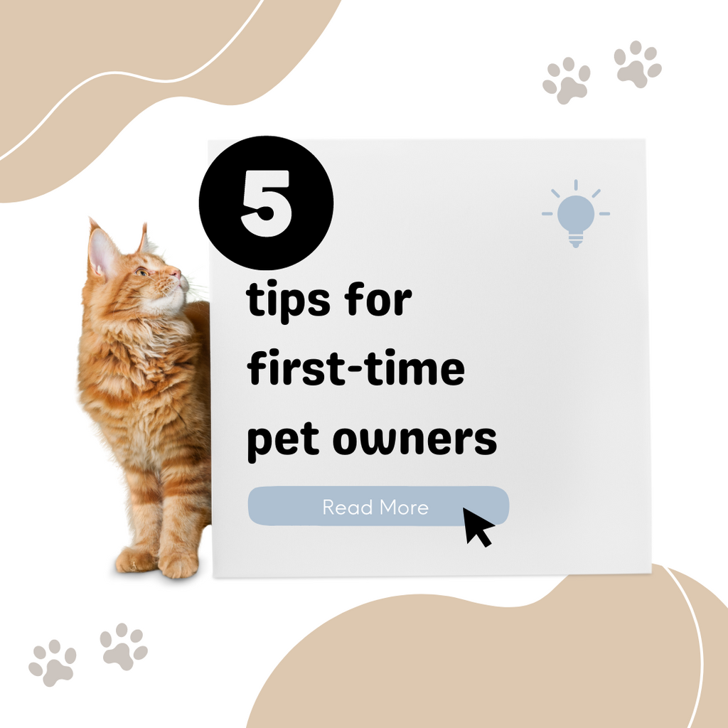 5 Essential Tips for First-Time Pet Owners