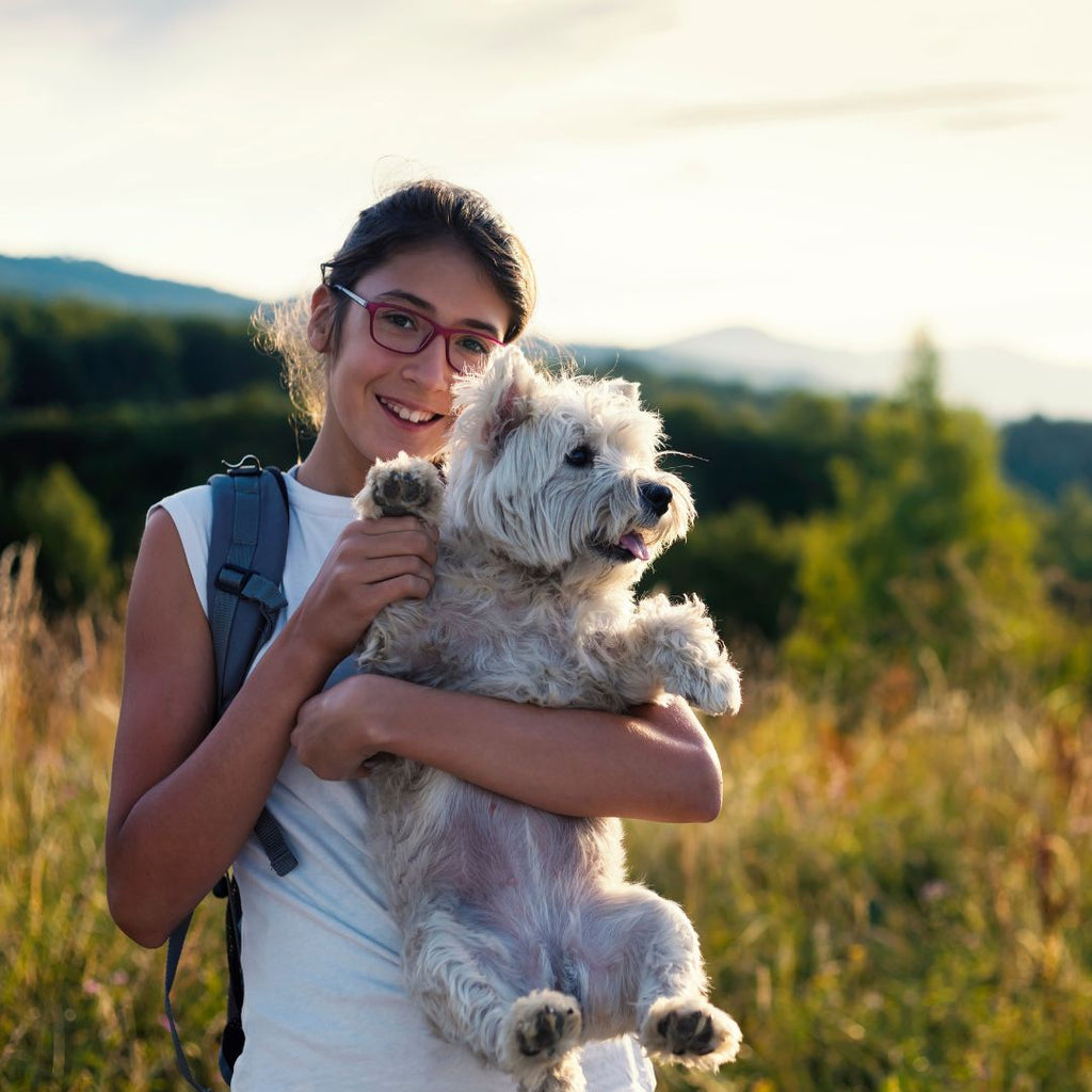 Making the Most of Summer: Enjoying Memorable Moments with Your Pets