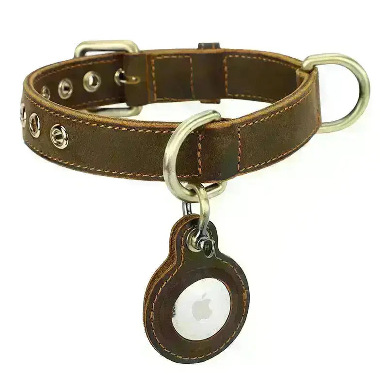 Luxury Genuine Leather Collar w/ AirTag Case GROOMY