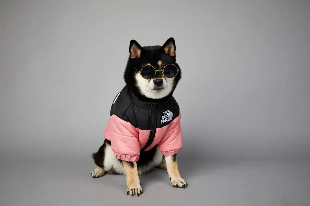 The Dog Fans Winter Dog Jacket Luxury Pet Clothes Warm Thick Stitching Pet Coat Teddy Chihuahua  Vest for Small Medium Dogs GROOMY