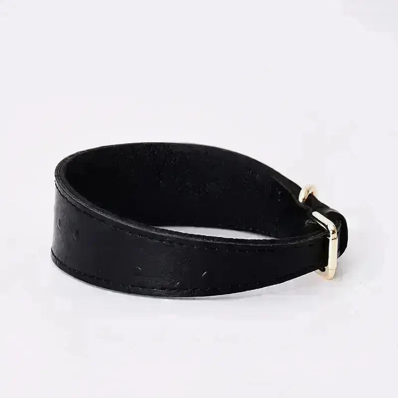Leather Dog Collar - Style F GROOMY