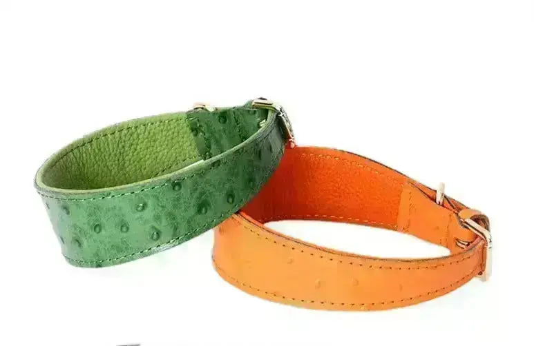 Leather Dog Collar - Style F GROOMY