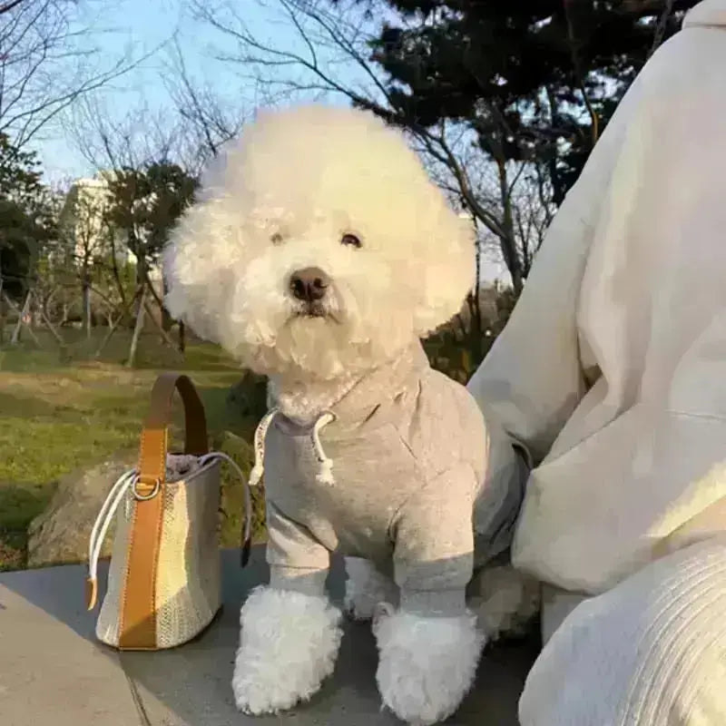 Puppy Hood - Dog & Cat Apparel GROOMY