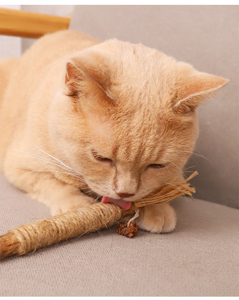 Cat Chew Stick Toy with Catnip GROOMY