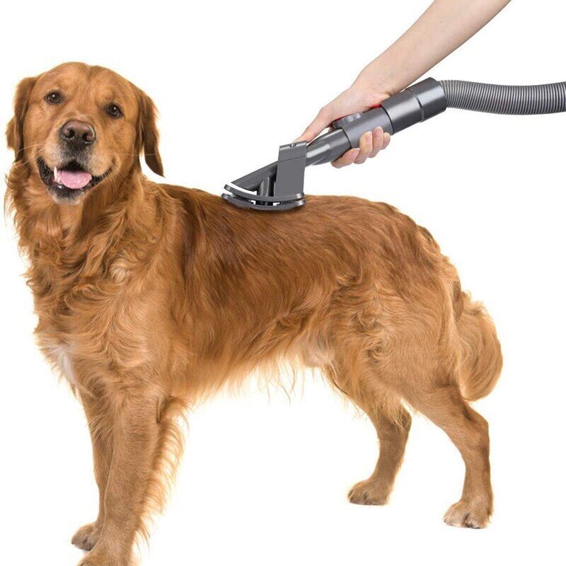 Conoce el cepillo Dyson groom para perros y librate de los pelos de tu  mascota. #aspiradora #tecnologia #hogar #limpieza #…