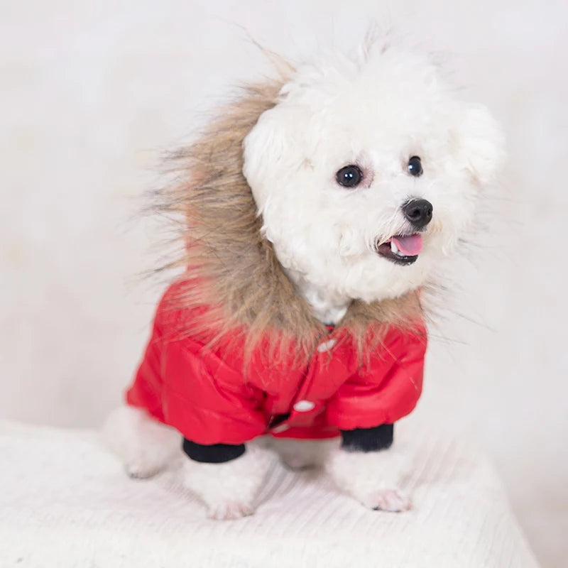Canada Goose Dog Jacket GROOMY