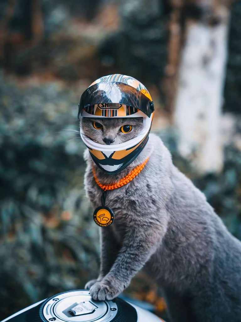 Pet Outdoor Mini Head Protecting Helmet GROOMY
