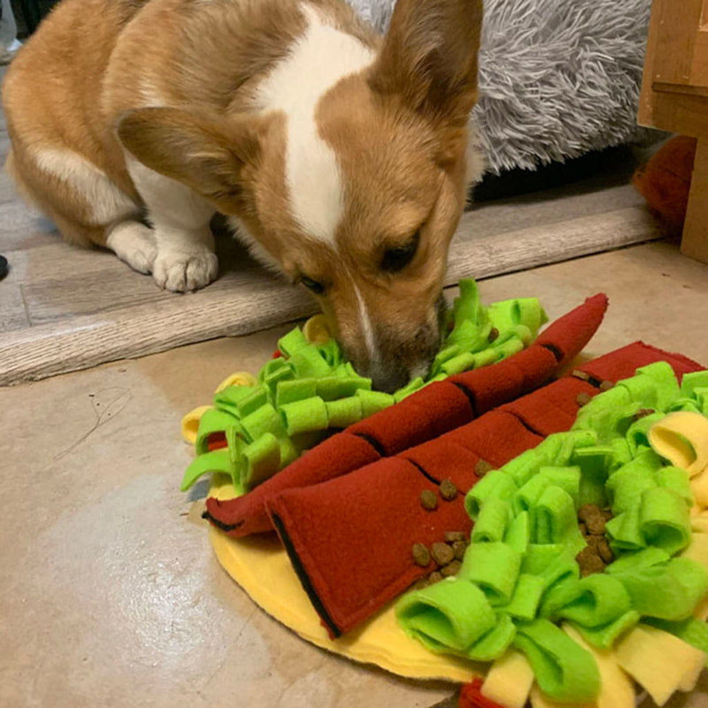 Burrito Snuffle Mat For Pets GROOMY