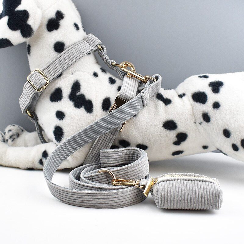 Light Grey Corduroy Dog Collar And Leash With Custom Engraved Nameplate GROOMY