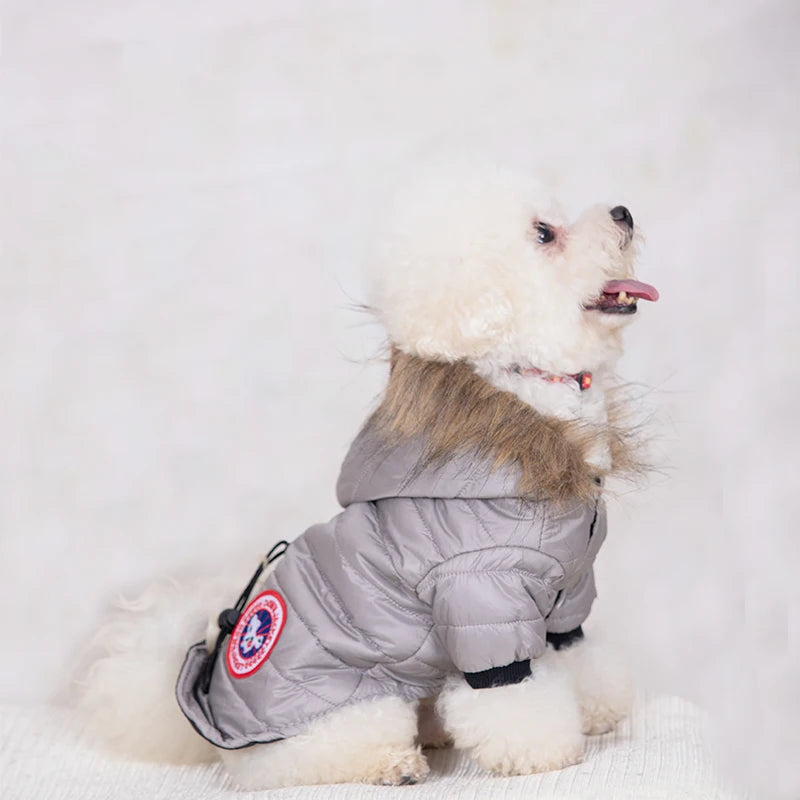Canada goose dog jacket letra online