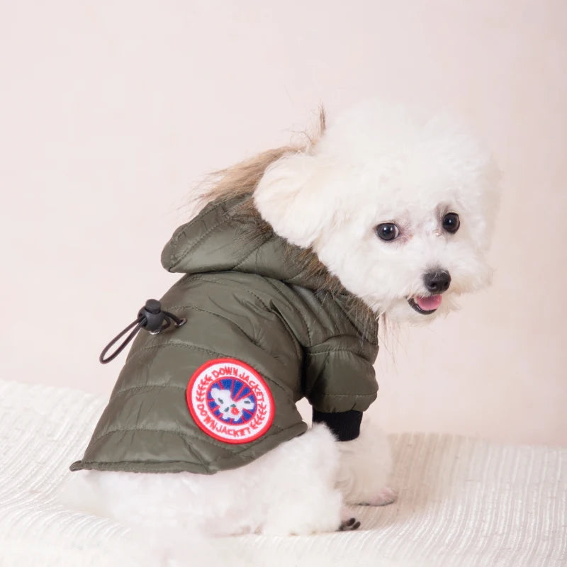 Canada Goose Dog Jacket GROOMY
