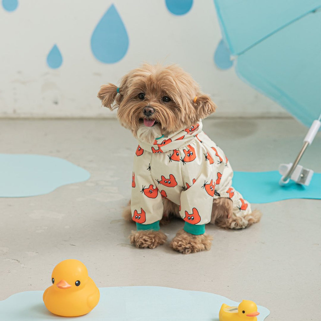 Small Dog Raincoat GROOMY