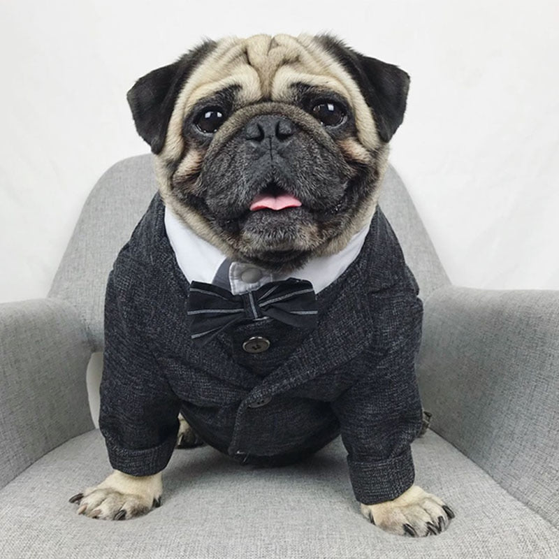 Gentleman Pet Dog Clothes Wedding Suit Vest Set Formal Shirt For Small Medium Large Dogs French Bulldog Puppy Outfit Pug Costume GROOMY