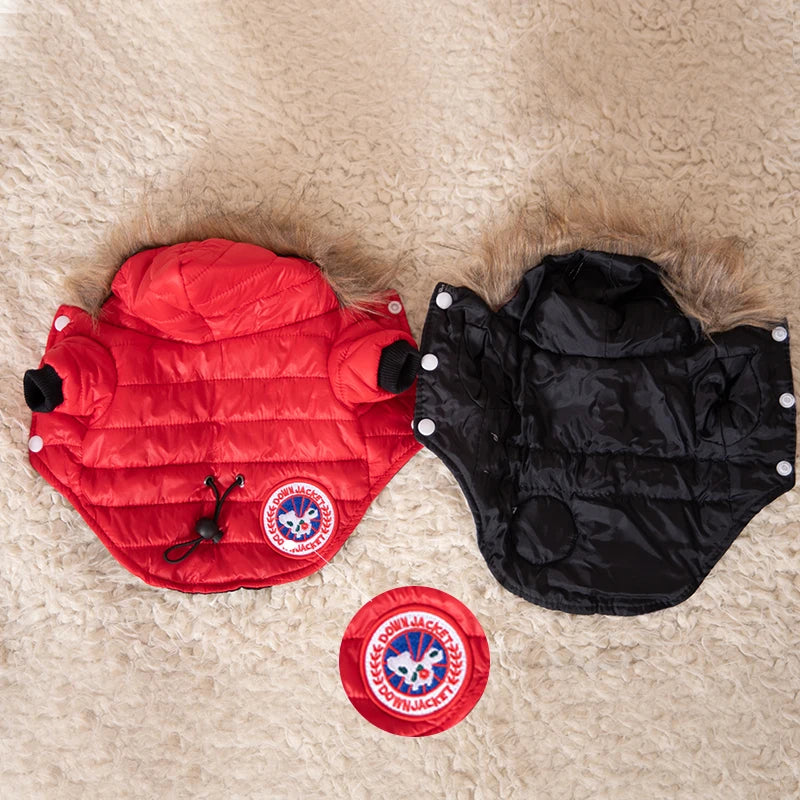 Canada goose coat for dogs online