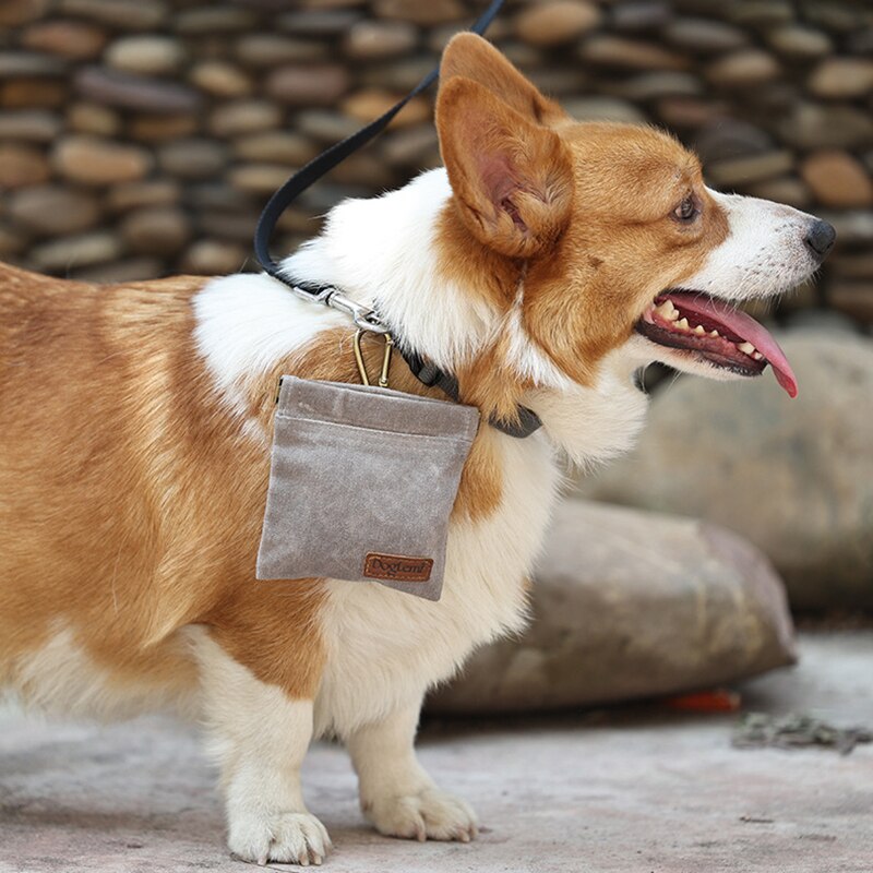 Dog Training Snack Bag GROOMY