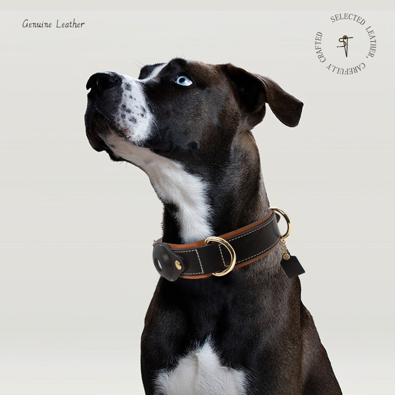 High-Quality Luxury Italian Leather Airtag Dog Collar GROOMY