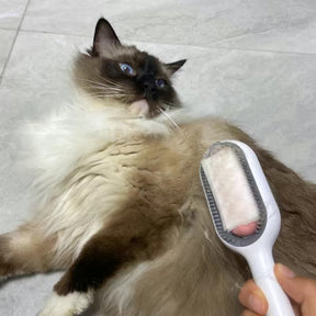 Double Sided Hair Removal Brush for Cats And Dogs GROOMY