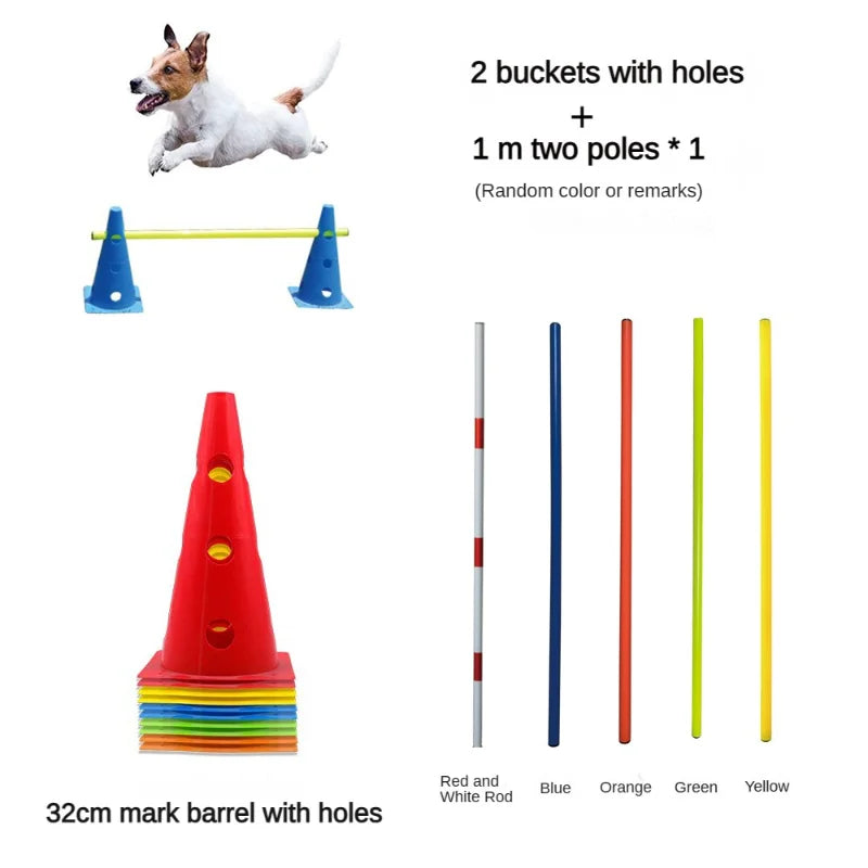 Dog training cones clearance
