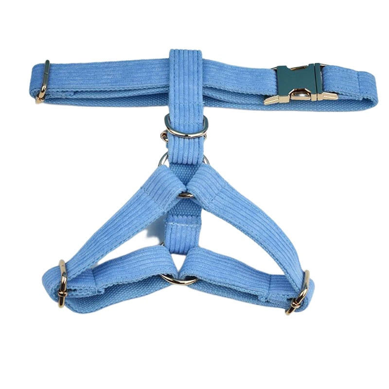 Blue Corduroy Dog Collar And Leash With Custom Engraved Nameplate GROOMY
