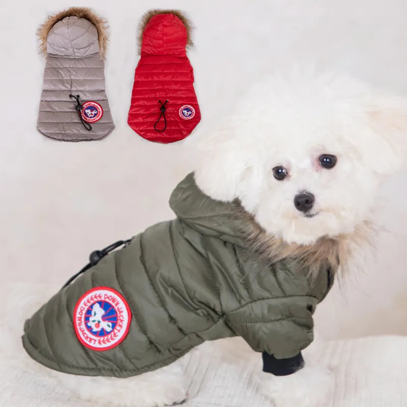 Canada Goose Dog Jacket GROOMY