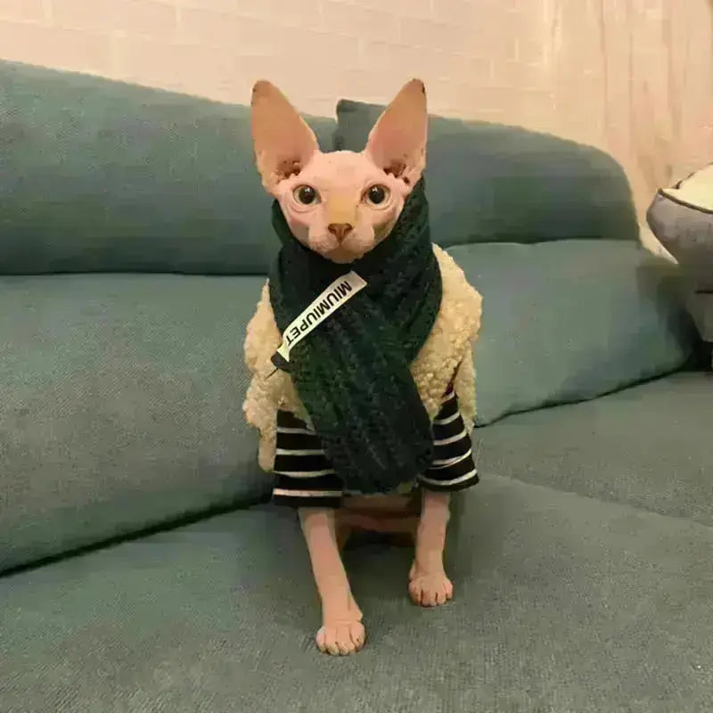 Sweater w/ Scarf - Dog & Cat Apparel GROOMY