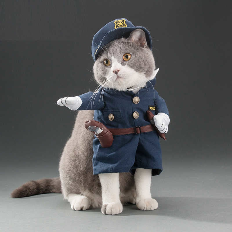 Stand-up pet costumes for cats and dogs GROOMY