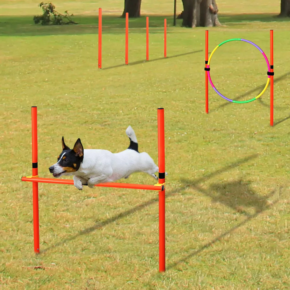 Outdoor Dog Obstacle Training Set Pet Agility Equipment Jumping Set  Dog Training Accessories Dog Obstacle Course Pet Supplies GROOMY