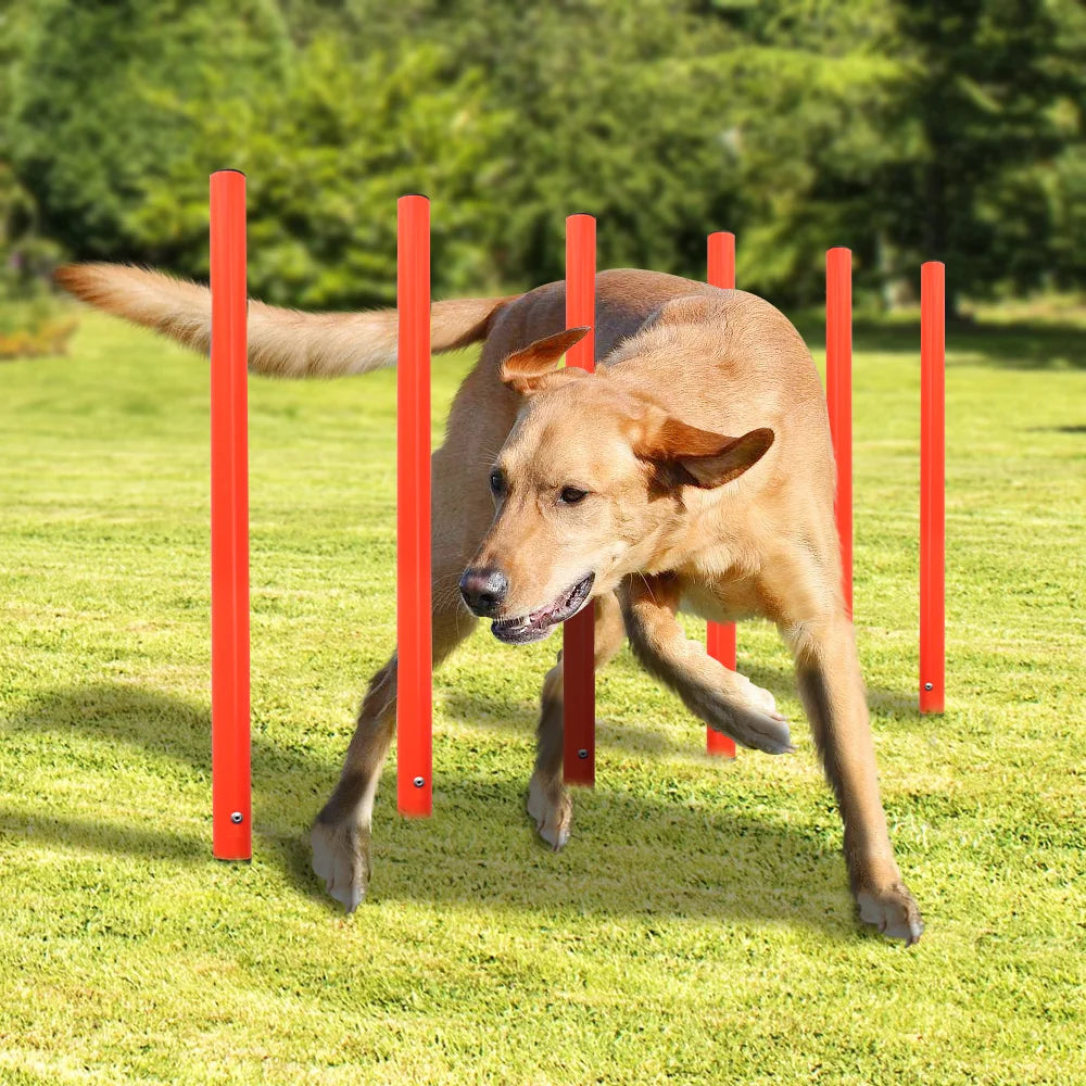 Outdoor Dog Obstacle Training Set Pet Agility Equipment Jumping Set  Dog Training Accessories Dog Obstacle Course Pet Supplies GROOMY