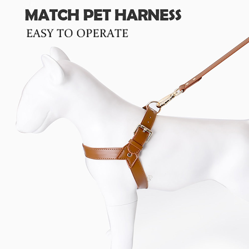 Leather Dog Harness and Leash Set