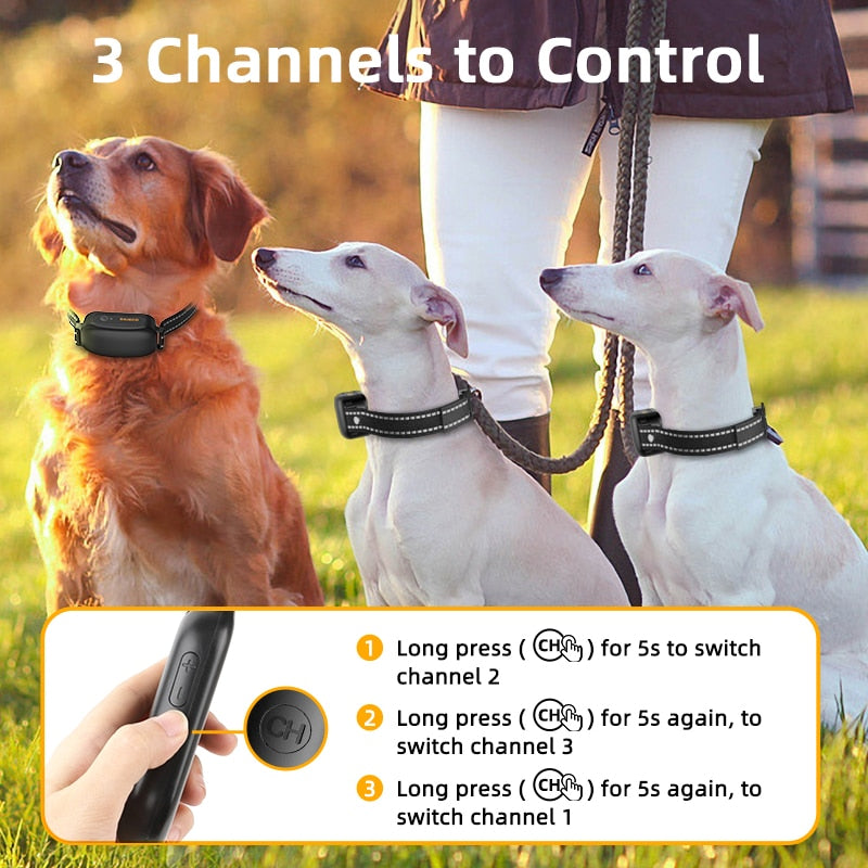 Waterproof Electric Dog Training Collar 3300ft Remote Control GROOMY