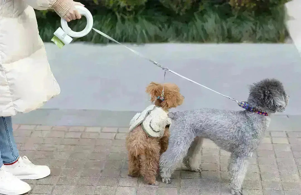 Smart LED Retractable Dog Leash - Type A GROOMY