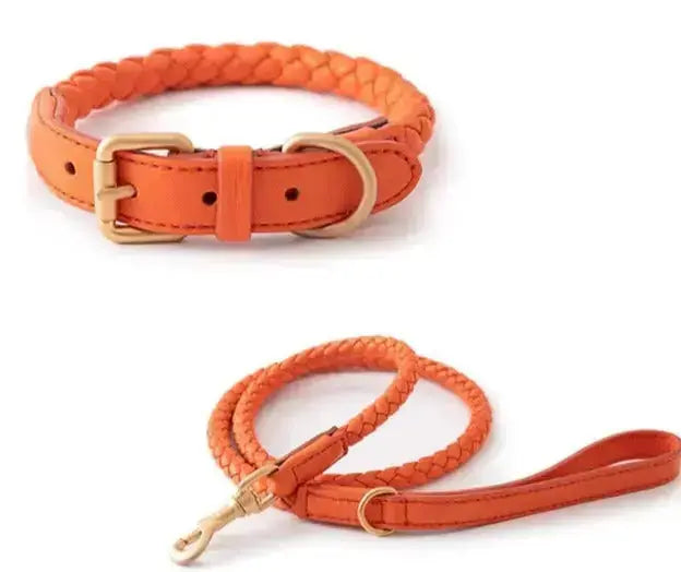 Tow Rope & Dog Collar GROOMY