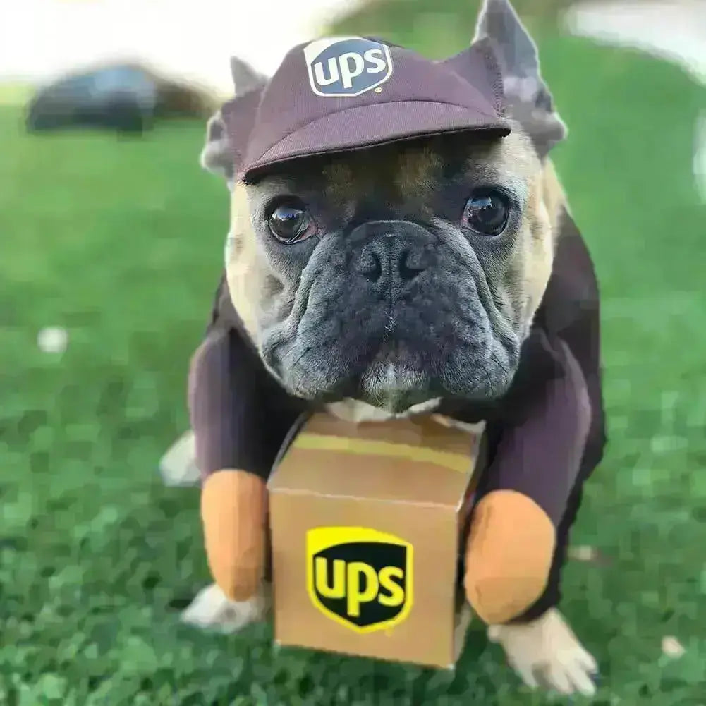 UPS Courrier Costume GROOMY