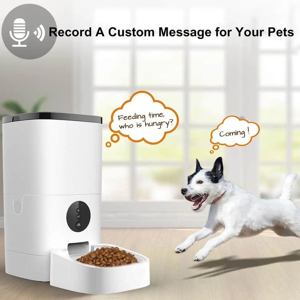 Automatic Pet Feeder GROOMY