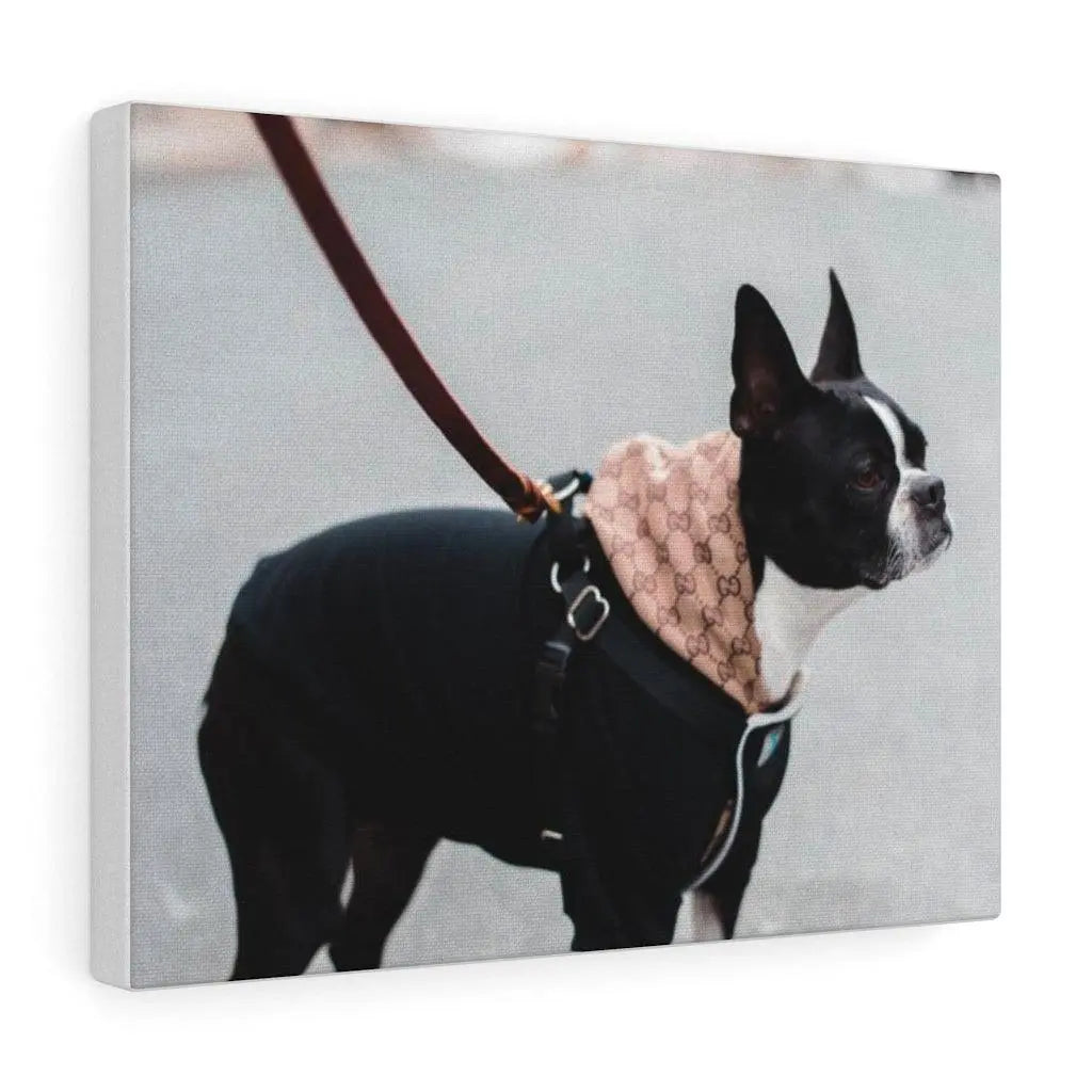 Custom Canvas Gallery Wraps - Pet Lover Gifts GROOMY