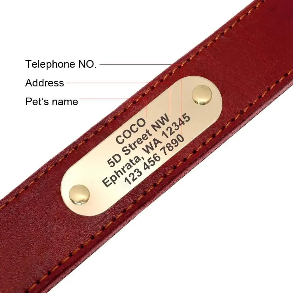 Custom Dog Leather Collar w/ Gold Name Tag - Engrave Your Pet's ID GROOMY
