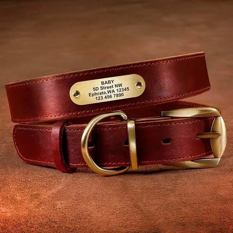 Custom Dog Leather Collar w/ Gold Name Tag - Engrave Your Pet's ID GROOMY