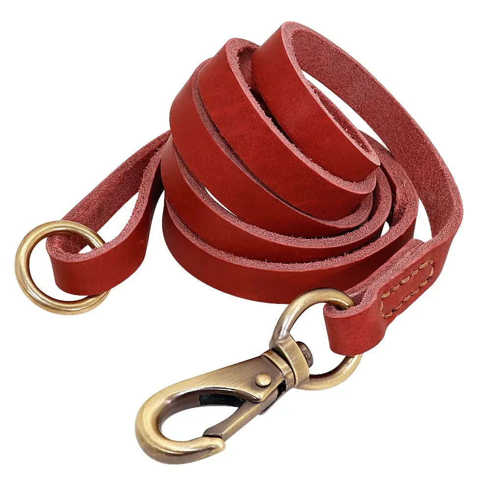 Dog Leather Leash - Set of Custom Leather Collar w/ Gold Name Tag GROOMY