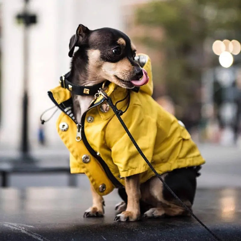 Dog Raincoat w/ Hood Type B - Dog & Cat Apparel GROOMY