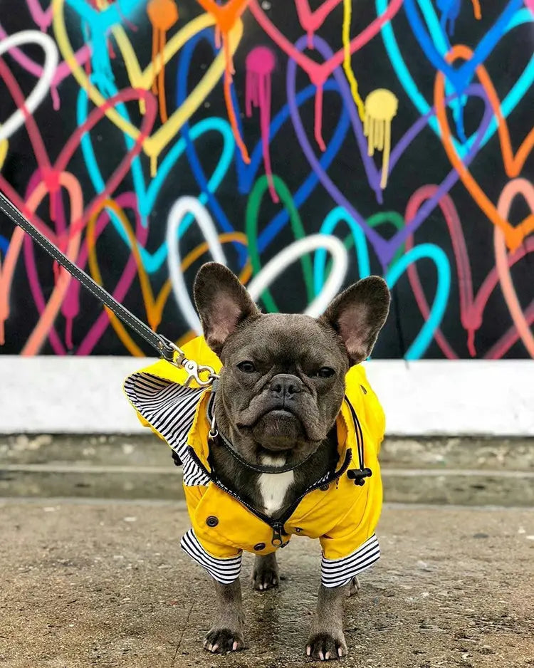 Dog Raincoat w/ Hood Type B - Dog & Cat Apparel GROOMY