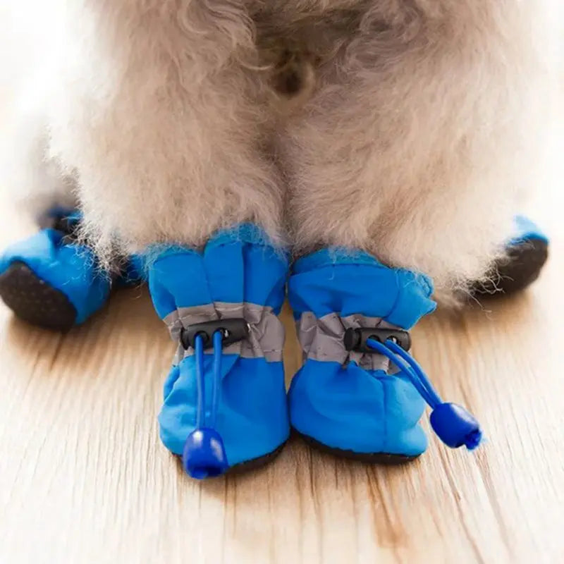 Dog Shoes & Boots w/ Waterproof - Dog & Cat Apparel GROOMY
